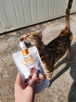 pussyess님이 올린 리뷰 사진 2