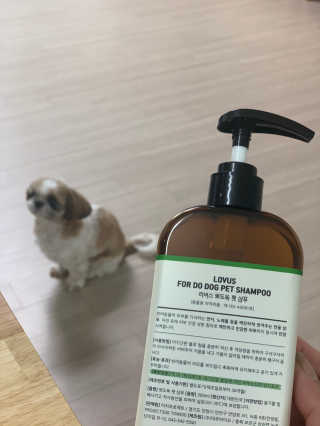 솨쟁님이 올린 리뷰 사진 3