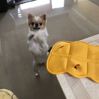 지애님이 올린 리뷰 사진 2