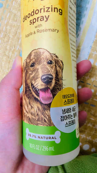 여름솔님이 올린 리뷰 사진 3