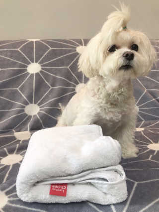윤퍼플님이 올린 리뷰 사진 3