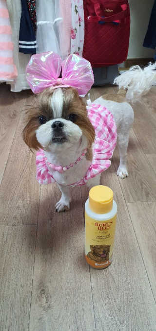 뉴뉴님이 올린 리뷰 사진 2