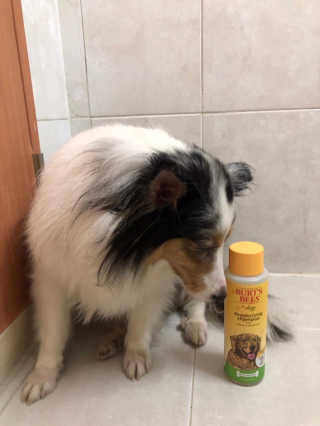휘영청님이 올린 리뷰 사진 2