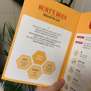 소다뷰님이 올린 리뷰 사진 2