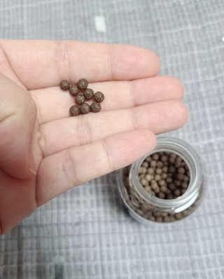 롱롱님이 올린 리뷰 사진 3