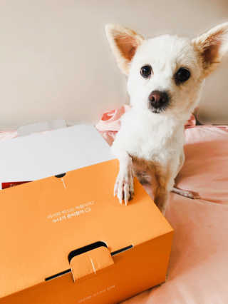 Lily님이 올린 리뷰 사진 2