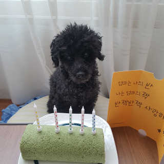 윙크하고아잉님이 올린 리뷰 사진 3
