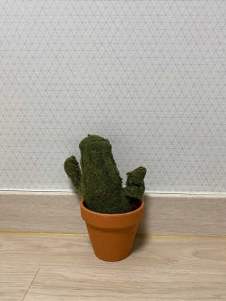 서지나님이 올린 리뷰 사진 1