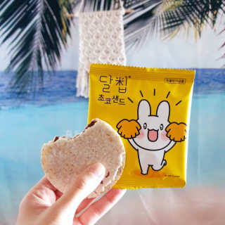 네이처오다 달칩 초코샌드 — 5점을 준 리뷰어가 2020년 5월 올린 사용 사진
