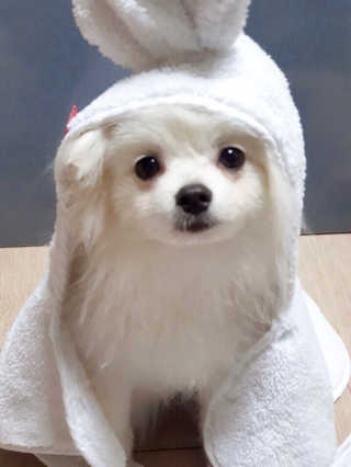 jisun3392님이 올린 리뷰 사진 1