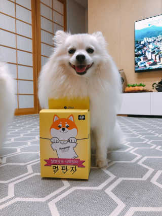 제인님이 올린 리뷰 사진 1