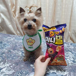 솜희님이 올린 리뷰 사진 3