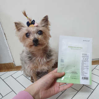 솜희님이 올린 리뷰 사진 4