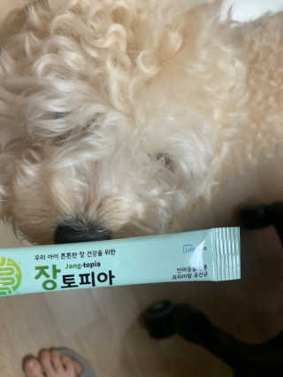 leah님이 올린 리뷰 사진 1
