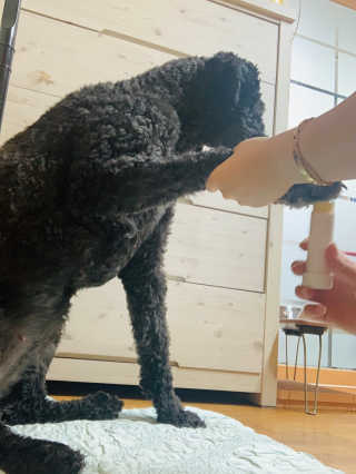 루피맘님이 올린 리뷰 사진 4