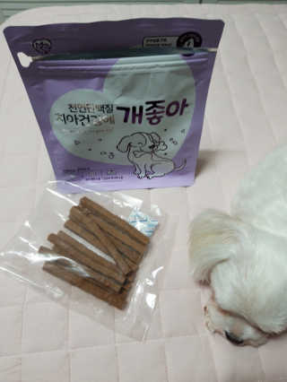 My Pet Care 천연단백질 치아건강에 개좋아 — 5점을 준 리뷰어가 2020년 11월 올린 사용 사진