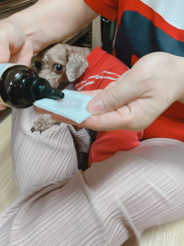 버츠비 케어플러스 릴리빙 이어린스 리뷰 사진