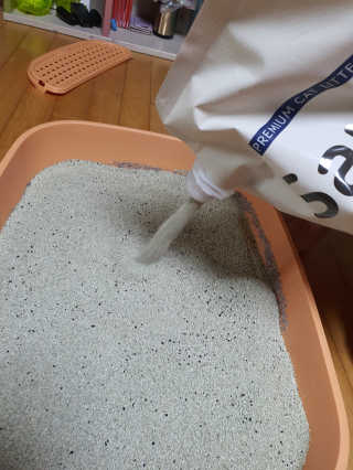 [샌드백] 프리미엄 벤토나이트 고양이모래 — 5점을 준 리뷰어가 2020년 12월 올린 사용 사진