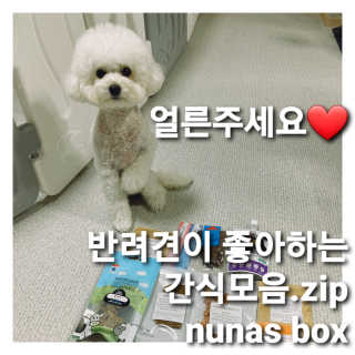 라떼는말이야님이 올린 리뷰 사진 4