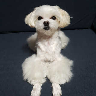 youngran님이 올린 리뷰 사진 2