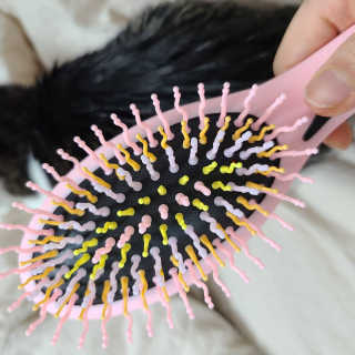 아이캔디 레인보우 볼륨S  브러쉬 for PET 미디엄 — 5점을 준 리뷰어가 2020년 12월 올린 사용 사진