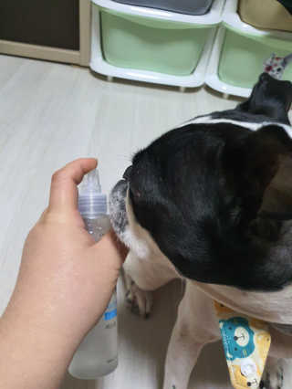 삼꽃단하나님이 올린 리뷰 사진 4