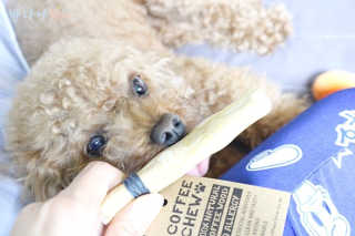 최정임님이 올린 리뷰 사진 3