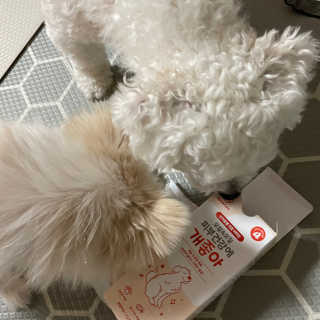 My Pet Care 모발과 모질 피부건강에 개좋아 — 3.5점을 준 리뷰어가 2020년 12월 올린 사용 사진
