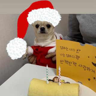 써니님이 올린 리뷰 사진 3
