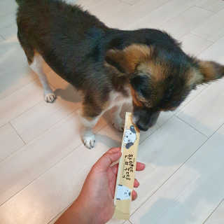 꽃수니어니님이 올린 리뷰 사진 4