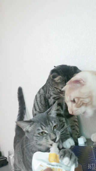 이째님이 올린 리뷰 사진 4