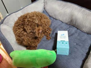 물방울님이 올린 리뷰 사진 3