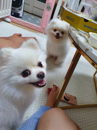 오컬리님이 올린 리뷰 사진 3
