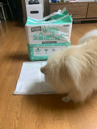 별이빛나길님이 올린 리뷰 사진 2