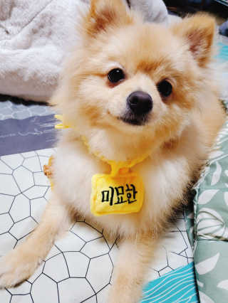 으콩님이 올린 리뷰 사진 1