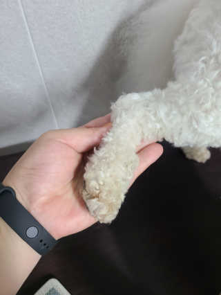 Claire님이 올린 리뷰 사진 3