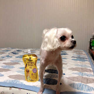 다함께차차차님이 올린 리뷰 사진 1