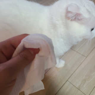 논지님이 올린 리뷰 사진 3