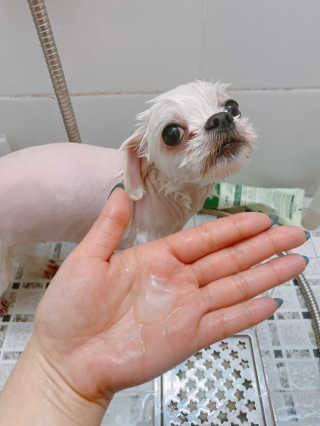 마이츄님이 올린 리뷰 사진 3