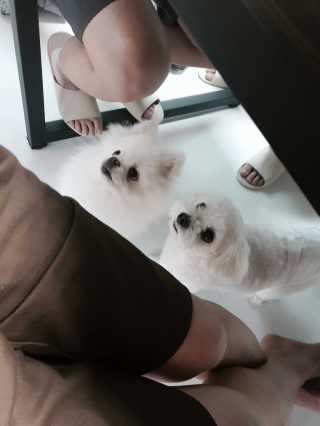 황선아님이 올린 리뷰 사진 2