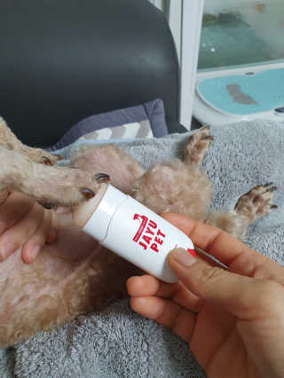[레드허니밤]자유펫 고양이 강아지 발바닥 밤 14g — 5점을 준 리뷰어가 2020년 7월 올린 사용 사진