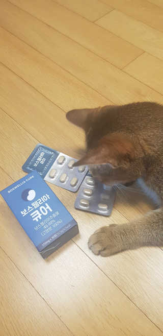 반짝님이 올린 리뷰 사진 1