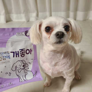 My Pet Care 천연단백질 치아건강에 개좋아 — 5점을 준 리뷰어가 2020년 12월 올린 사용 사진
