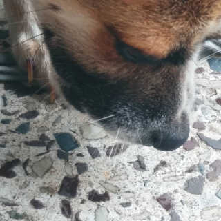 도이님이 올린 리뷰 사진 1