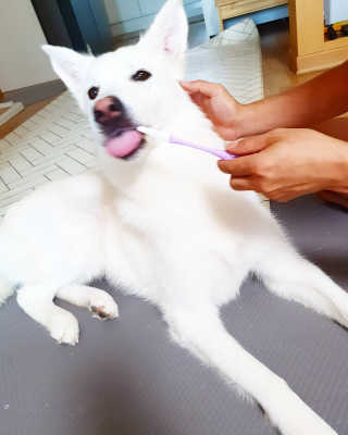 딸랑구둘🥰님이 올린 리뷰 사진 3