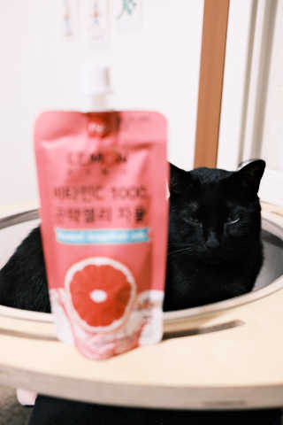 늘봄냥님이 올린 리뷰 사진 3