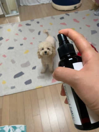 leah님이 올린 리뷰 사진 4