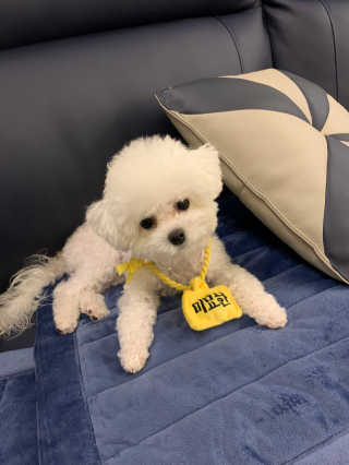 큐티윤님이 올린 리뷰 사진 2