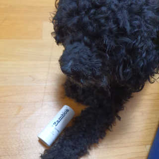브릿님이 올린 리뷰 사진 2