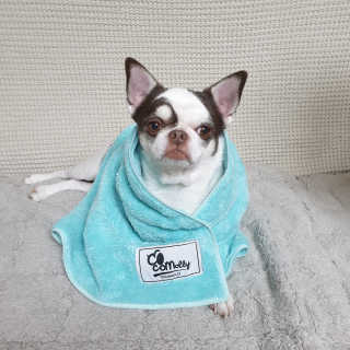 mini unni님이 올린 리뷰 사진 1